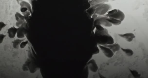 Black Water Ink Blotch Grunge Splash Logo Opener Video Transition — Vídeo de Stock
