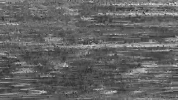 Analog Glitch Static Noise Texture Signal Interference Black White Fuzzy — Stock video