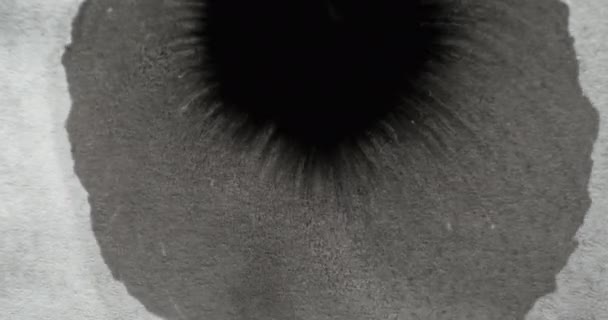 Μαύρος Λεκές Από Μελάνι Βίντεο Μετάβαση Υδατογραφία Πιτσιλίσματα Σκούρο Υγρό — Αρχείο Βίντεο