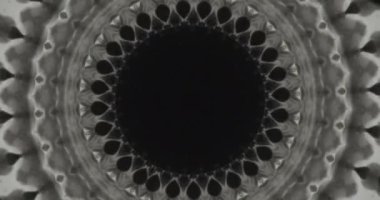 Black ink water. Kaleidoscope ornament. Video transition. Dark ethnic rosett circle center reveal motion on white art abstract background.