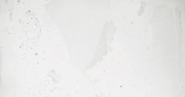 Old film overlay. Dust noise texture. Distressed layer. Daguerreotype effect. Black grain dirt stains defect flow motion on white abstract grunge background.