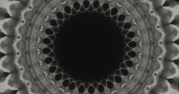Μαύρο Νερό Μελάνι Καλειδοσκόπιο Στολίδι Βίντεο Μετάβαση Σκούρο Εθνοτική Rosett — Αρχείο Βίντεο