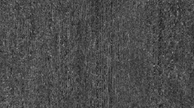 Static noise texture. VHS glitch. Artifacts overlay. Old TV damage. Black white fuzzy grain analog distortion dark retro abstract background.