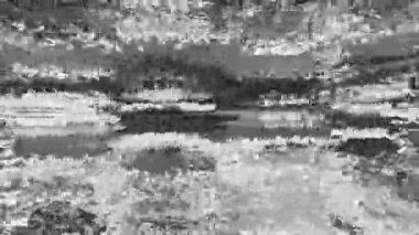 Pixel noise overlay. 8bit glitch texture. Analog VHS defect. Black white fuzzy grain static artifacts grunge abstract art background.