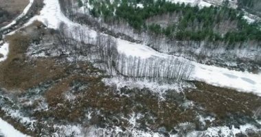 Winter scenery aerial view. Countryside road. Cold weather nature. Green pine trees brown dry shrubs on white snow covered land drone shot.
