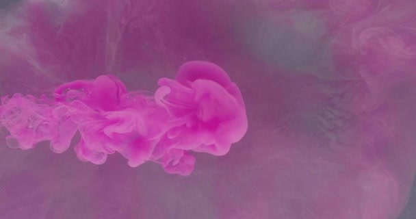 Ink Water Drop Fluid Splash Logo Reveal Effect Neon Pink — Stockvideo