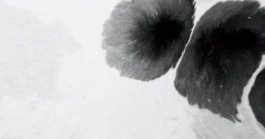 Ink water splash. Paint drop. Transition overlay. Black wet stain wave spreading motion on white grain texture abstract copy space background.