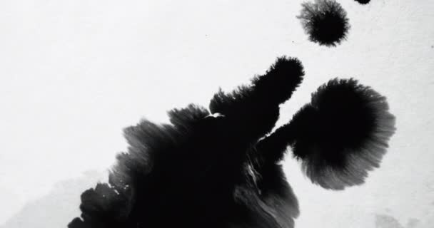 Ink Water Splash Reveal Transition Grunge Overlay Black Dye Stain — 图库视频影像