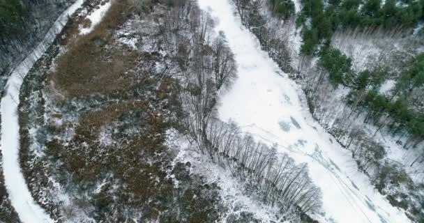 Winter Landscape Aerial Shot Forest Road Cold Season Nature Green — Stockvideo