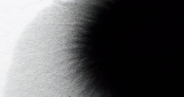 Ink water flow. Opener transition. Presentation overlay. Black paint drop wipe wave motion on white grain texture abstract copy space background.
