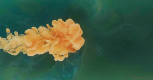 Ink Water Drop Fluid Splash Logo Reveal Effect Orange Color — Video Stock