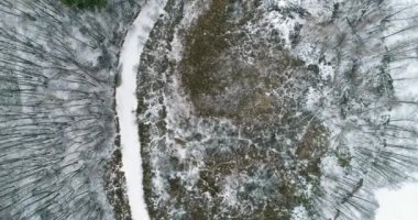 Winter nature aerial view. Frozen forest. Cold woods scenery. Countryside panorama. Dry bare trees field on white snow covered ground flyover.
