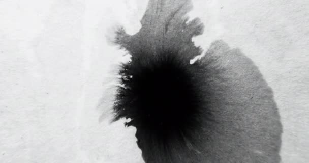 Black Paint Water Drop Wet Stain Flow Transition Overlay Intro — ストック動画