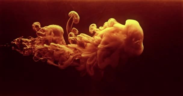 Ink Water Drop Fluid Splash Logo Reveal Effect Orange Golden — Stock Video