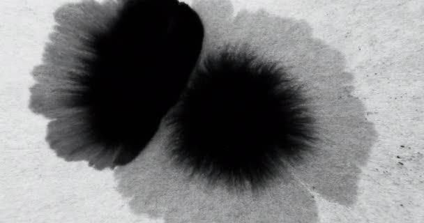 Paint Water Drop Ink Splatter Overlay Reveal Transition Black Liquid — ストック動画