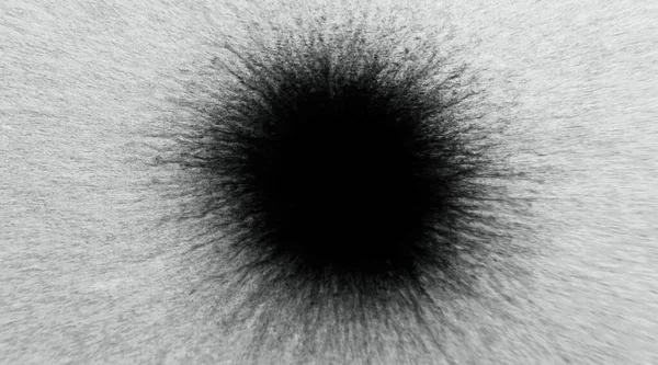Black Ink Drop White Paper Pencil Dot Grunge Overlay Jagged — Stock Photo, Image