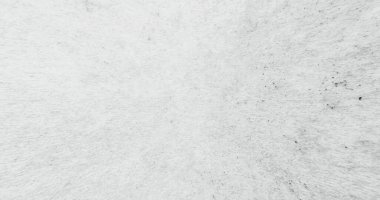 Dust noise texture. Aged overlay. Distressed layer. Black grain sand defect on white uneven paper structure abstract empty space background.