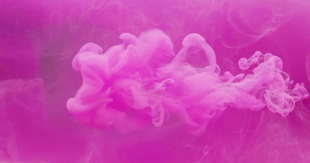 Краска Брызги Воды Цветное Облако Переходный Слой Пурпурные Розовые Чернила — стоковое видео