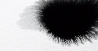 Paint drop water. Transition overlay. Dye splash. Black ink blotch spreading motion on white grain paper texture abstract copy space background.