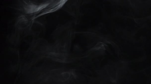 Vapor Background Mist Floating Air Humidifier White Transparent Smoke Flow — 图库视频影像