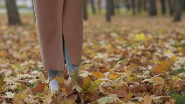 Romantic Autumn Walking Woman Nature Beauty Unrecognizable Lady Going Park — Stok video