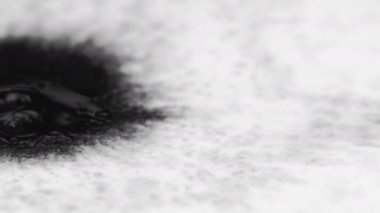 Ink drop spatter. Stain paper texture. Transition effect. Defocused black fluid splash motion on white surface grunge abstract copy space background.