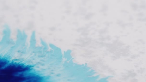 Пятна Краски Брызги Чернил Логотип Показывает Эффект Пятнышко Мокрым Красителем — стоковое видео