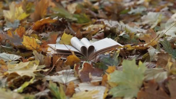 Inspired Literature Romantic Autumn Creative Shooting Opened Book Putting Pages — Stockvideo