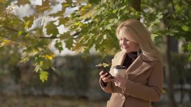 Virtual Communication Pretty Woman Mobile Technology Beautiful Smiling Lady Staying — Vídeos de Stock