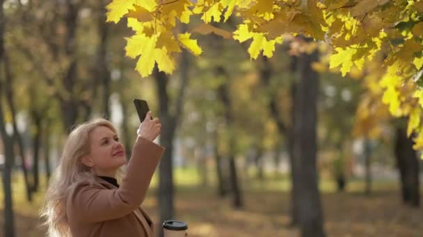 Autumn Beauty Happy Woman Mobile Photo Pretty Smiling Lady Staying — Stockvideo