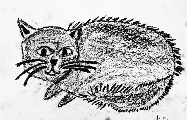 Детское Искусство Испуганный Кот Творческая Иллюстрация Художественная Работа Рисования Серого — стоковое фото