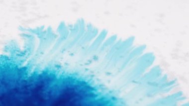 Ink drop spatter. Stain paper texture. Watercolor blot. Transition effect. Defocused blue color fluid splash motion on white surface abstract copy space background.