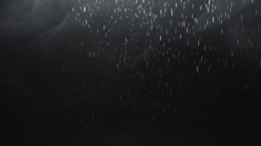Ash rain. Fog texture. Night snowfall. Intro effect. Defocused white flakes falling down smoke flow motion on dark black abstract grunge background.
