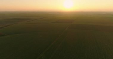 Dawn at field. Aerial view of misty morning in countryside. Son rising above harvested crops
