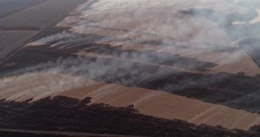 Arson. Agriulture competition. Burning crops. Aerial shot of smoke rising above fields