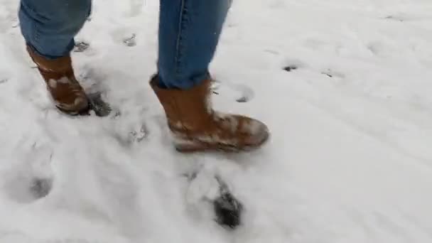 Winter Fun Cold Season Leisure Man Running Sliding Road Ice — Vídeo de stock
