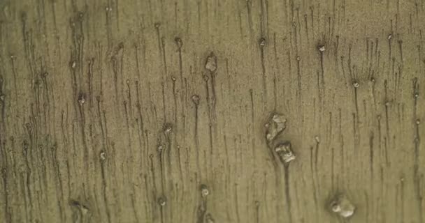 Sand Texture Background Particles Flow Glitter Fluid Drip Defocused Martini — Stockvideo