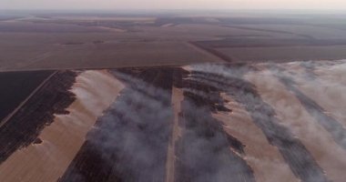 Arson. Agriulture competition. Burning crops. Aerial shot of smoke rising above fields