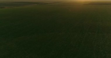 Agriculture land. Aerial view of large fields. Golden lit landscape of rising sun