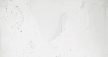 Dust stain texture. Distressed overlay. Old film noise. Black grain particles defect flow motion on white grunge abstract copy space background.