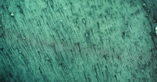 Glitter Background Color Sand Flow Shimmering Fluid Drip Defocused Verdigris — Video