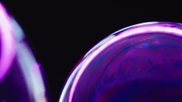 泡泡艺术 创意化学 流畅的宏观世界 紫罗兰肥皂泡球 带有反光的紫色和蓝色颜料 在黑色底色上漂浮在里面 — 图库视频影像