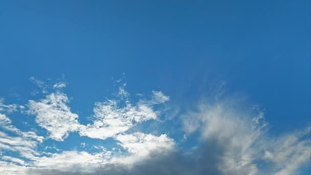 天空图像 今天天气真好空中冥想 清澈的蓝天 雪白蓬松 羽毛状的云彩缓缓飞走 — 图库视频影像