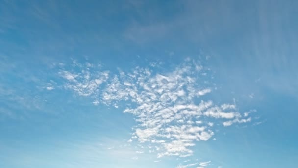 Ονειροπόλος Ουρανός Ρομαντική Διάθεση Αεροφωτογραφία Clear Blue Παράδεισος Λευκό Πλούμιο — Αρχείο Βίντεο