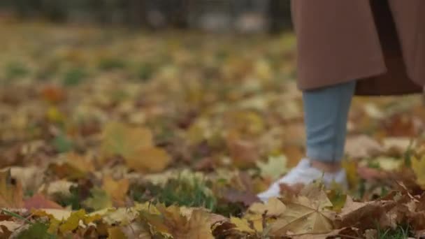 浪漫的秋天 走路的女人享受大自然的乐趣 难以辨认的女士走在公园里 把黄色的树叶扔在地上缓缓地走着 — 图库视频影像