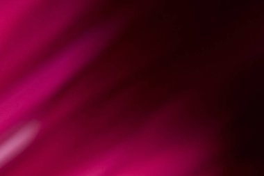 Işık sızıntısı. Odaklanamayan parlaklık örtüsü. Parlak mercek parlaması. Siyah soyut kopyalama arkaplanı üzerinde bulanık neon pembe renk ışınları.