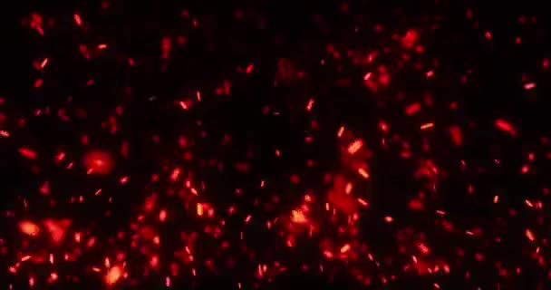 Fire Sparks Background Red Particles Motion Defocused Neon Orange Color — Stock Video