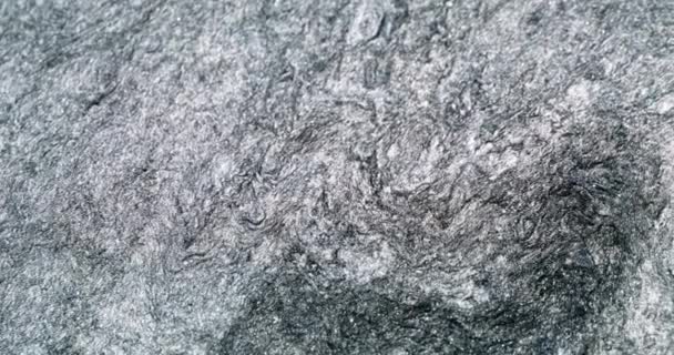 Frost Fond Abstrait Flux Liquide Pétillant Cristaux Neige Glacée Encre — Video