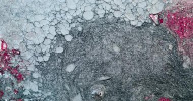 Kış ayazı soyut arka plan. Dondurucu sıvı. Su dalgalarını boya. Kırmızı beyaz gri renk parıldayan sıvı pulları düz doku. RED Sinema Kamerasında Çekim.