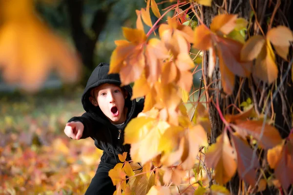 Chłopcy Zerkają Zza Drzewa Pokrytego Jesiennymi Liśćmi — Zdjęcie stockowe